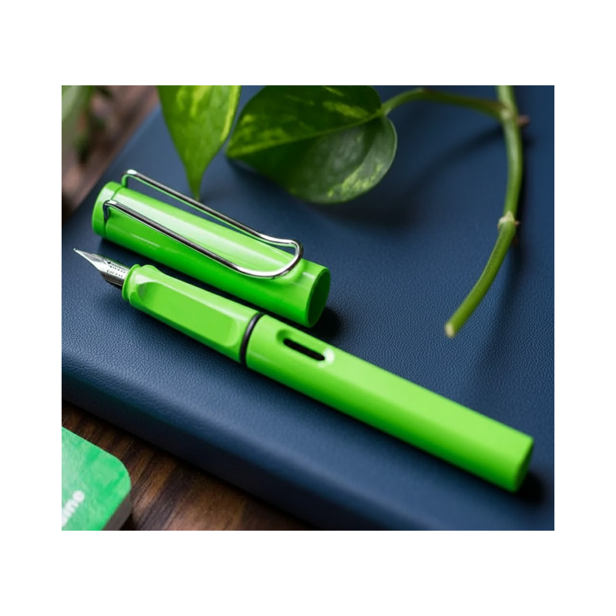 Lamy Safari Green Medium Nib Fountain Pen